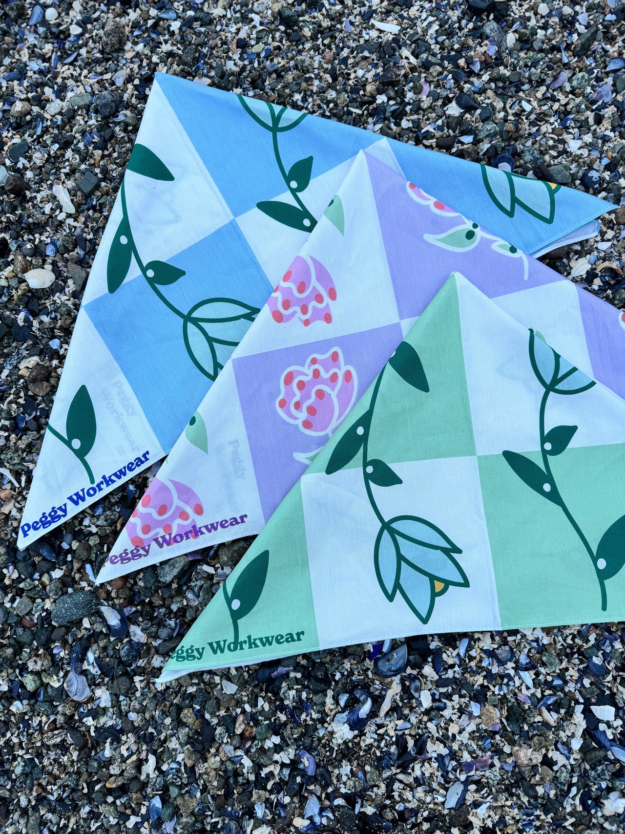 Le pack économique Sau